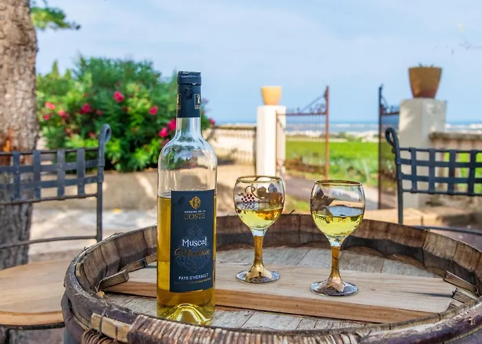 Domaine De La Coste Frontignan