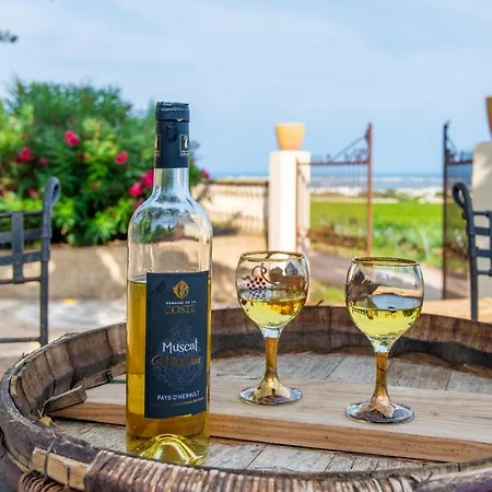 Domaine De La Coste Фронтиньян